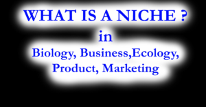 What is a niche